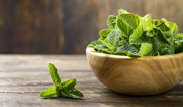 menta