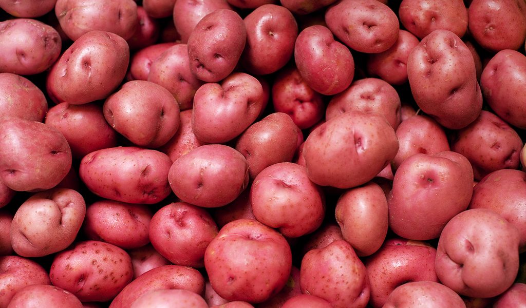 patate rosse