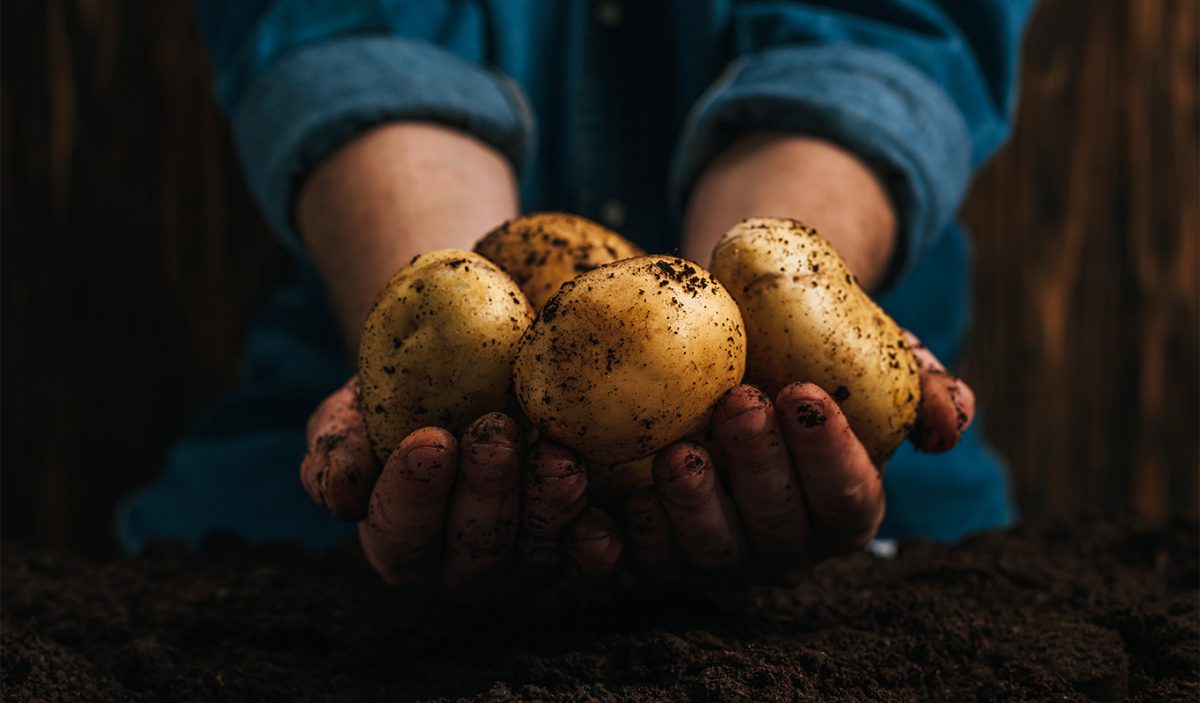 proprietà delle patate