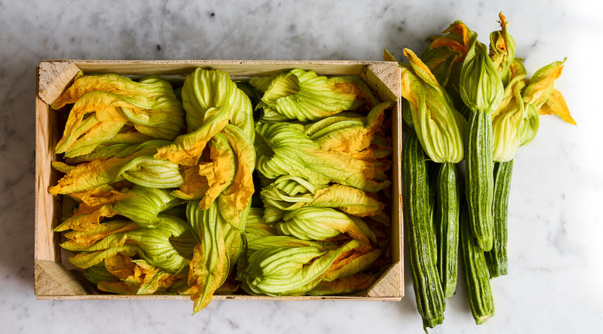 Primi piatti con fiori di zucca